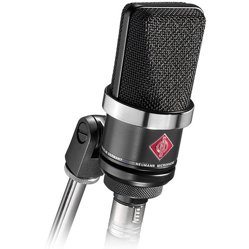 Neumann TLM 102 Large-Diaphragm Cardioid Condenser Microphone