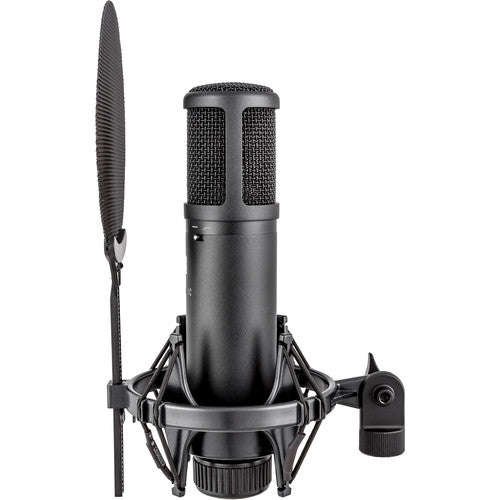 sE Electronics sE2200 Large-Diaphragm Cardioid Condenser Microphone with Isolation Pack (Black)